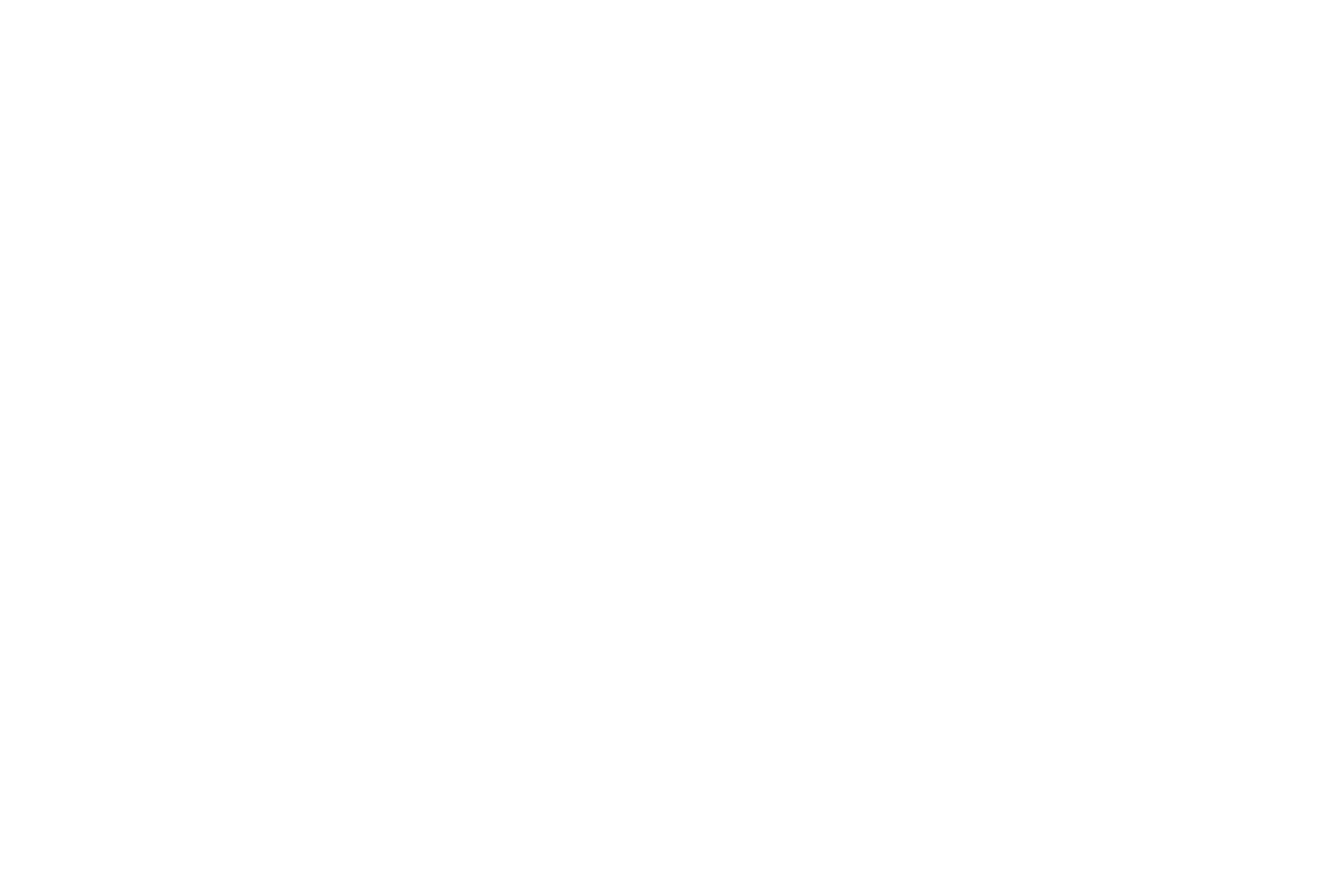 Sveyka Gurme